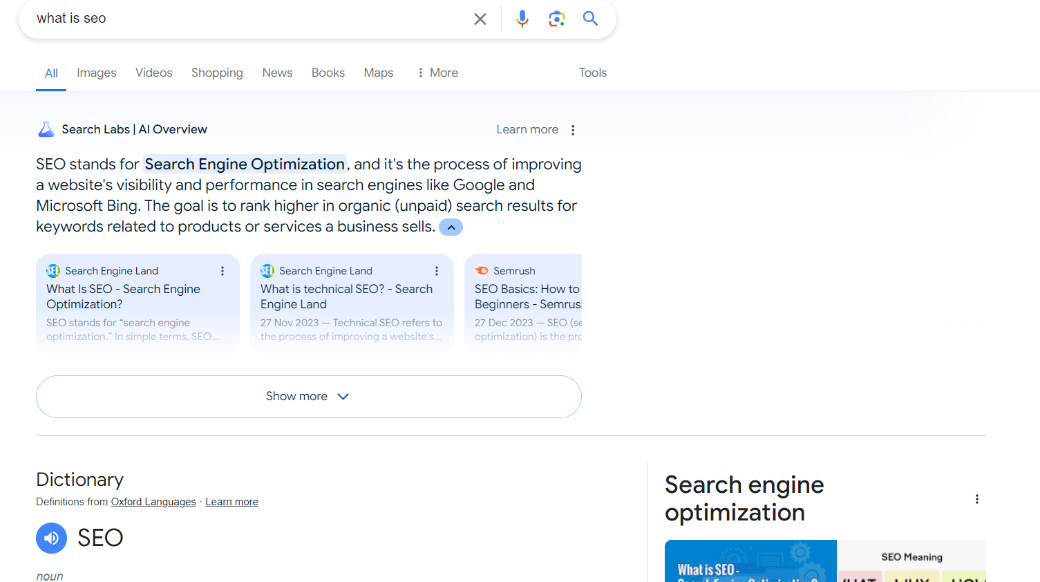 Google SERP wit AI Overviews - Search Generative Experience